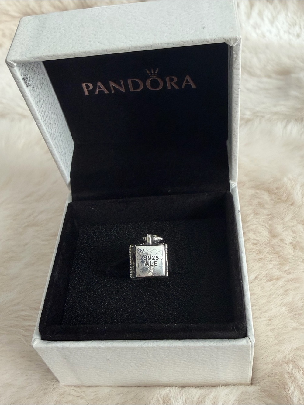 Pandora āSpring Bird Houseā Charm - Picture 3 of 4